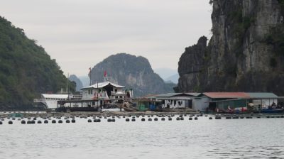Vietnam du Nord au Sud — étape 4 : Halong Bay