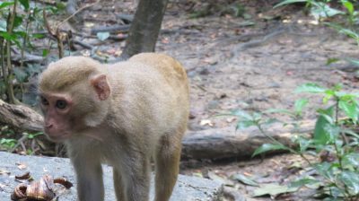 Vietnam du Nord au Sud — étape 5 : Ninh Binh