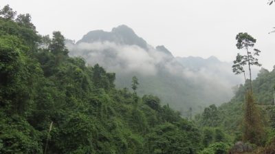 Vietnam du Nord au Sud — étape 5 : Ninh Binh