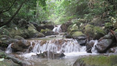 Vietnam du Nord au Sud — étape 5 : Ninh Binh
