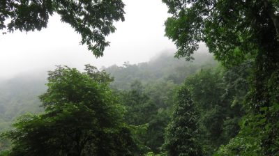 Vietnam du Nord au Sud — étape 5 : Ninh Binh
