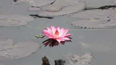 Vietnam du Nord au Sud — étape 5 : Ninh Binh