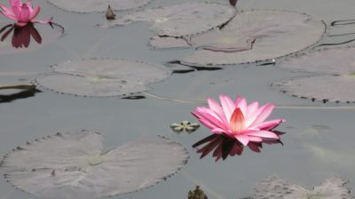 Vietnam du Nord au Sud — étape 5 : Ninh Binh