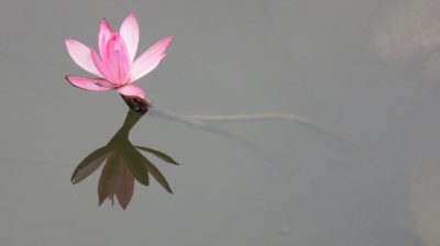 Vietnam du Nord au Sud — étape 5 : Ninh Binh