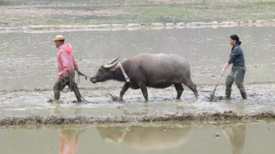 Vietnam du Nord au Sud — étape 5 : Ninh Binh