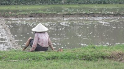 Vietnam du Nord au Sud — étape 5 : Ninh Binh