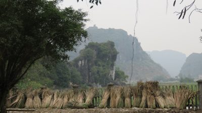 Vietnam du Nord au Sud — étape 5 : Ninh Binh