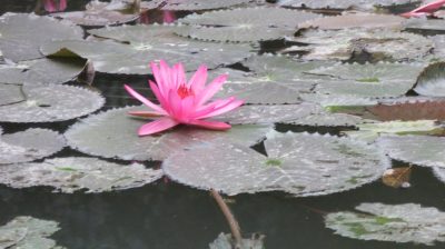 Vietnam du Nord au Sud — étape 5 : Ninh Binh