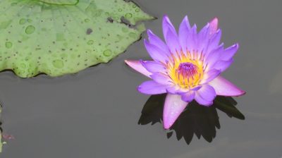 Vietnam du Nord au Sud — étape 7 : Hoi An