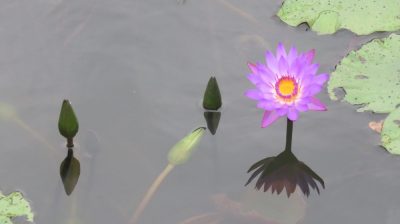 Vietnam du Nord au Sud — étape 7 : Hoi An