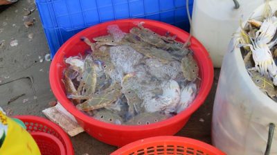 Vietnam du Nord au Sud — étape 9 : Phan Thiet - Mui Né