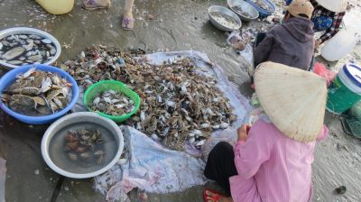 Vietnam du Nord au Sud — étape 9 : Phan Thiet - Mui Né