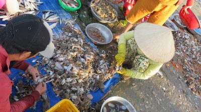 Vietnam du Nord au Sud — étape 9 : Phan Thiet - Mui Né