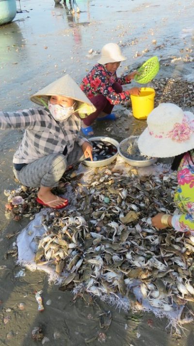 Vietnam du Nord au Sud — étape 9 : Phan Thiet - Mui Né